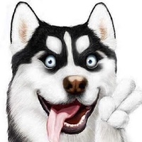 STUPID DOG