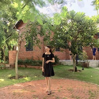 Diệp Vũ