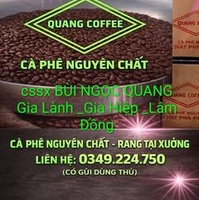 Bùi Ngọc Quang