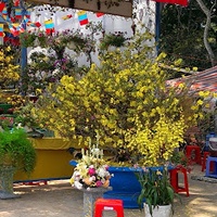 Minh Hải Official