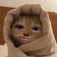 Thương Huỳnh Thị Ngọc
