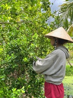 Bé Huyền 