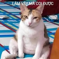 Nguyễn Tiến Tài
