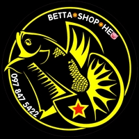 Shop Heo Betta Shop