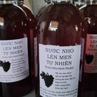 Tịnh Duong