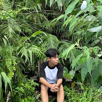 Trí Trần