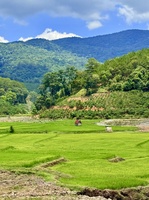 chi sang