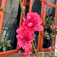 Quân Nguyễn