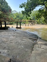 Trường Trần