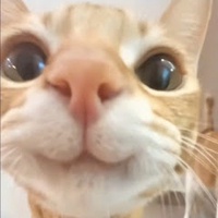 Dương Hoàng thái Dương
