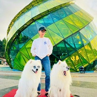 in ấn CT