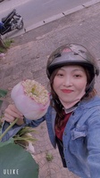 Châm Anh
