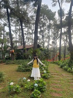 Dương Anh