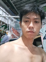 minhvu1992