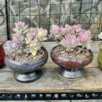 Lộc