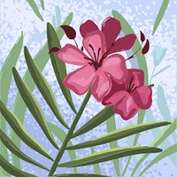 Anh thu Nguyễn thi