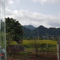 Bách Anh CT