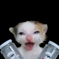 Tít
