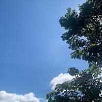 Yên Đan