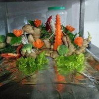 Tugiabacgiang