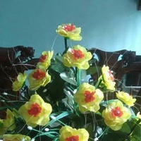 Trần Hoang
