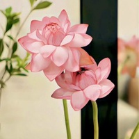 Thu Ha Huynh