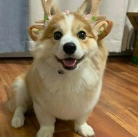 Đức