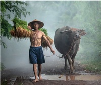 Hải Thượng Lãn Ông
