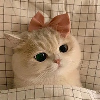Chiu
