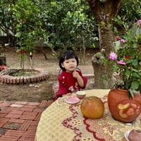 Phong Nguyen