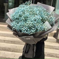 Thanh Thảo Đặng Thị
