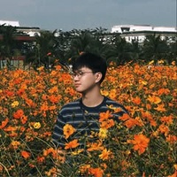 Trương Việt Khang