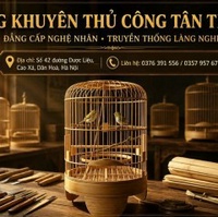 Thành Tân