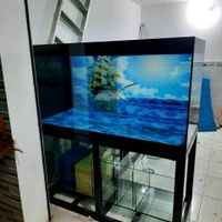 Hồ Cá Mạnh Tuấn