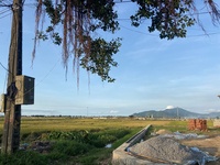 Thành Trung