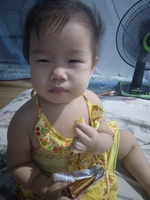 Hương dương878