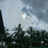 Nguyên An Cư