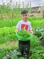 nguyễn văn toàn
