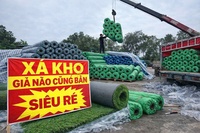 Cỏ nhân tạo thanh lý