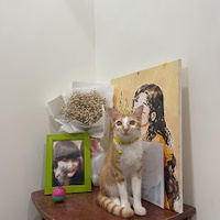 Cat Tuong Nguyen