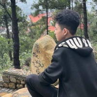 Đinh Lưu Viết Tuấn