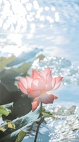 Trương Thanh Tiên