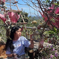 Yến Linh Lê