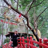 Hồng Minh