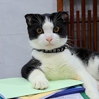 Ngọc Trúc