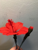 Mai Phương