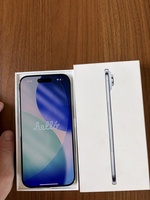 Phạm Hồng Lý
