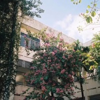 Lyna Ha