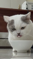 Thủy