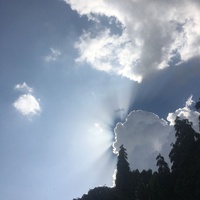 hvn